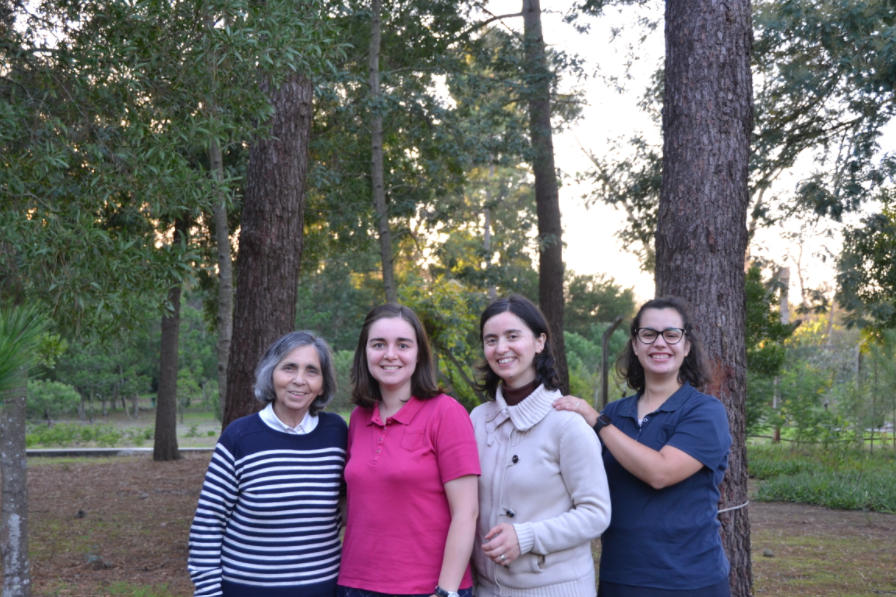 Captura de ecrã 2022-01-12 233447