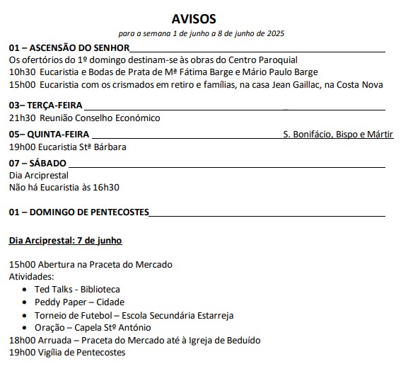 Captura de ecrã 2025-06-04 205848