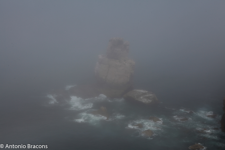 CARTA ABERTA A LÁZARO DE BETÂNIA, AMIGO DE JESUS