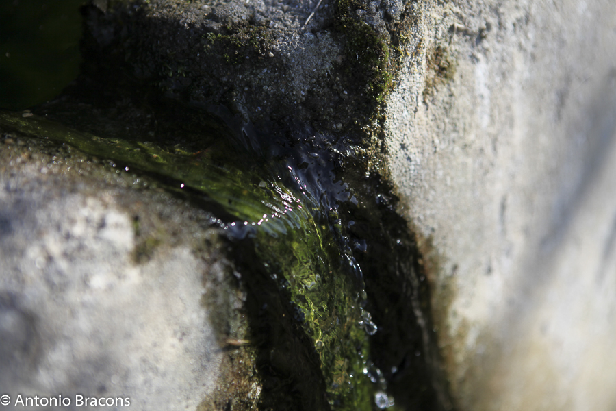 A RECONCILIAÇÃO, VIA EFICAZ PARA SANAR RUPTURAS