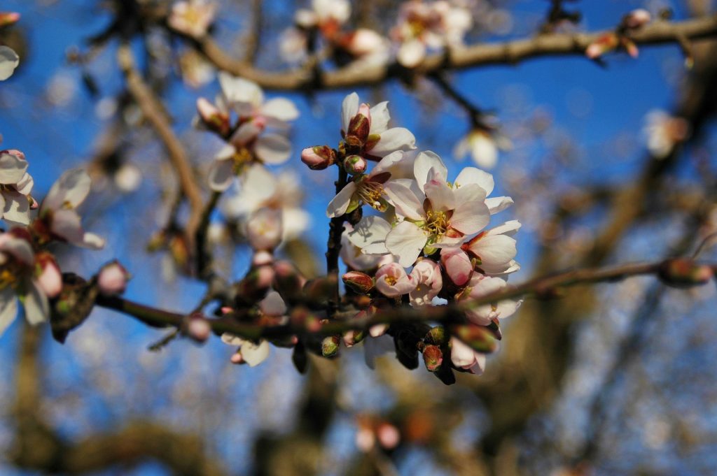 Diocese de Aveiro – Facto marcante, hora de esperança