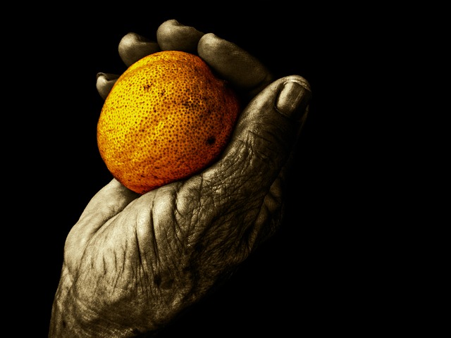 Bioética e sociedade | Bioética: um diálogo sereno sobre Eutanásia