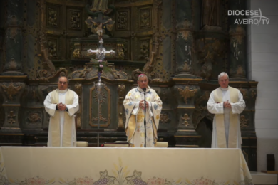 Notícias | Páscoa 2020: Bispo de Aveiro apela à defesa da vida, a uma economia para todos e uma «nova cultura ecológica»