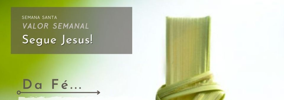 Documentos | Adolescência – Domingo de Ramos – Segue Jesus