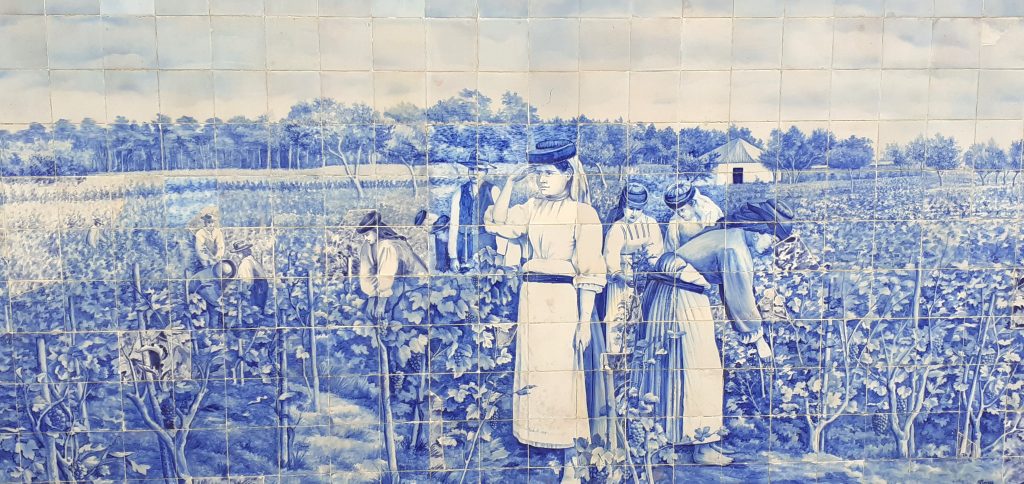 AVEIRENSES NOTÁVEIS | Licínio Pinto e Francisco Pereira – a mais famosa dupla de ceramistas aveirenses