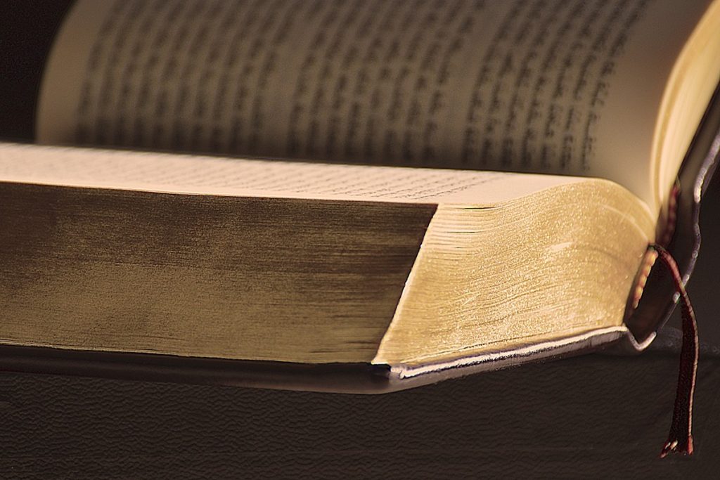 Notícias | Bíblia: Como se estuda Camões para ler «a beleza dos seus versos», é preciso estudar São Paulo para compreender o significado de «submissão»