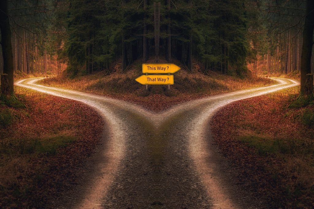 Bioética e sociedade | BIOÉTICA: como chegamos e aplicamos os VALORES ÉTICOS na relação clínica