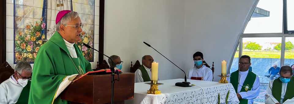 Documentos | Festa das Famílias – Santuário Nª Sª Vagos (Homilia)