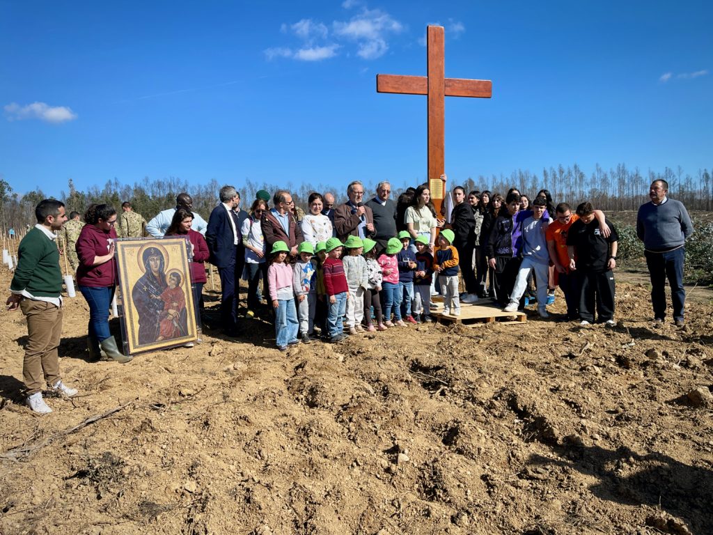 Notícias | Lisboa 2023: Mil árvores dão vida ao «Parque Verde JMJ», na Diocese de Aveiro (c/fotos)