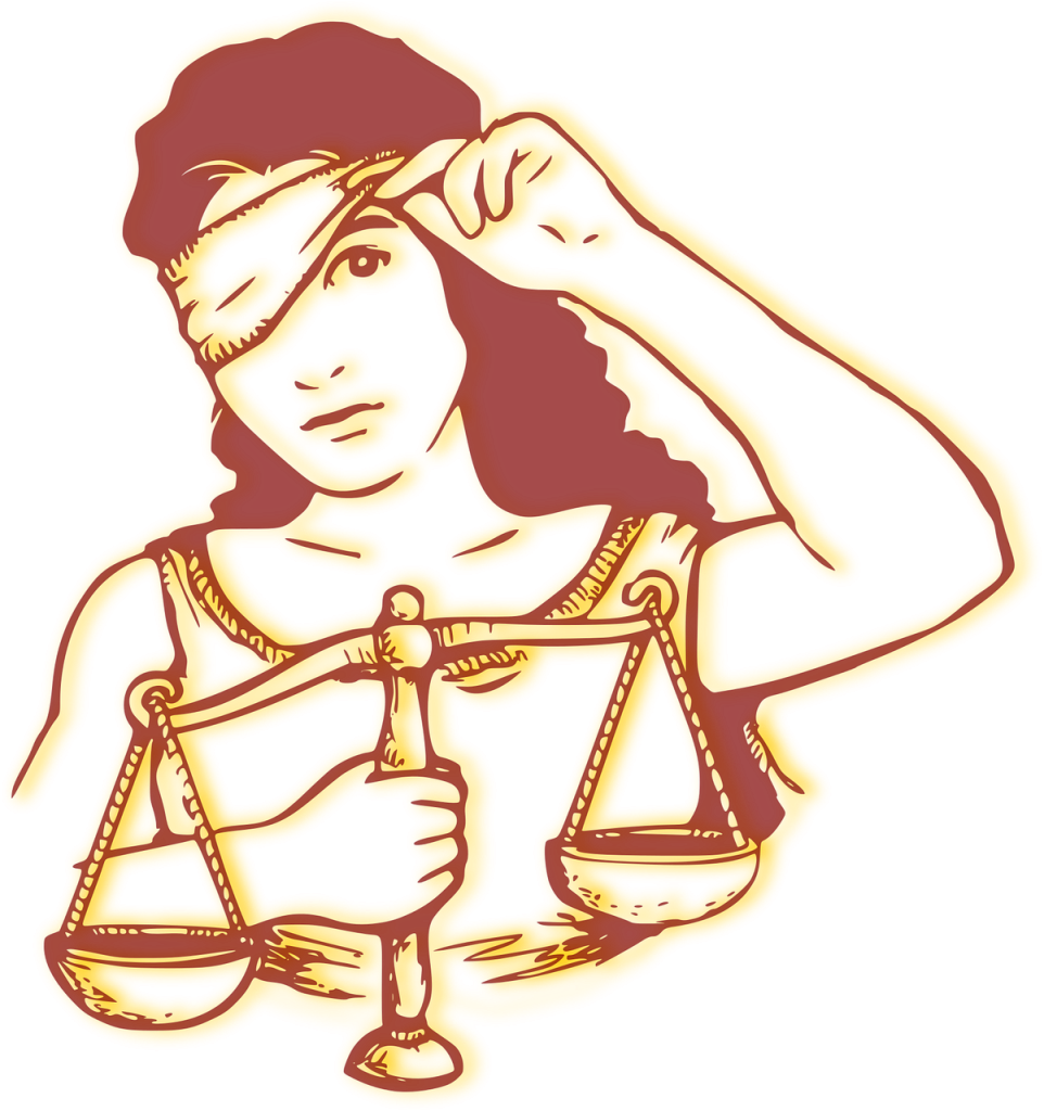 Tiago Ramalho | As leis da cidade 32 | [14] Acerca de uma recente alteração à Constituição francesa (cont.)