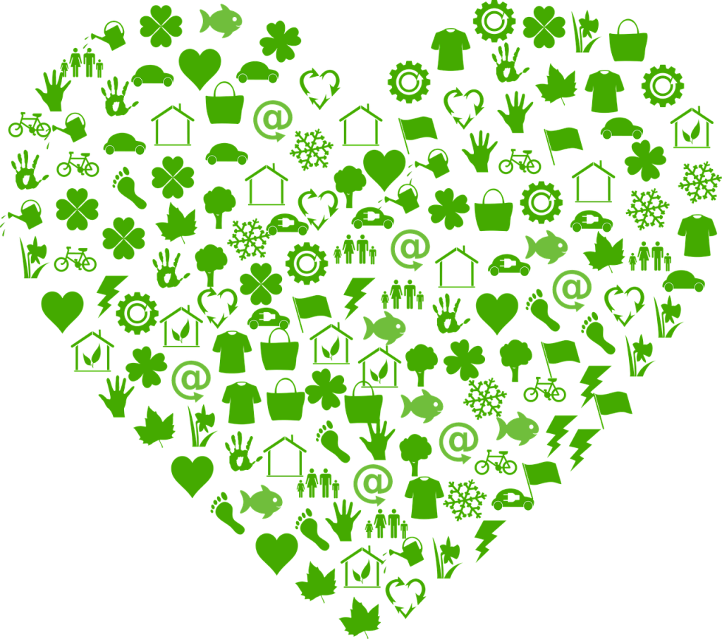 Casa Comum [2] | Pe. João Santos – Vocação ao cuidado da Criação: 10 anos da Encíclica Laudato Si’