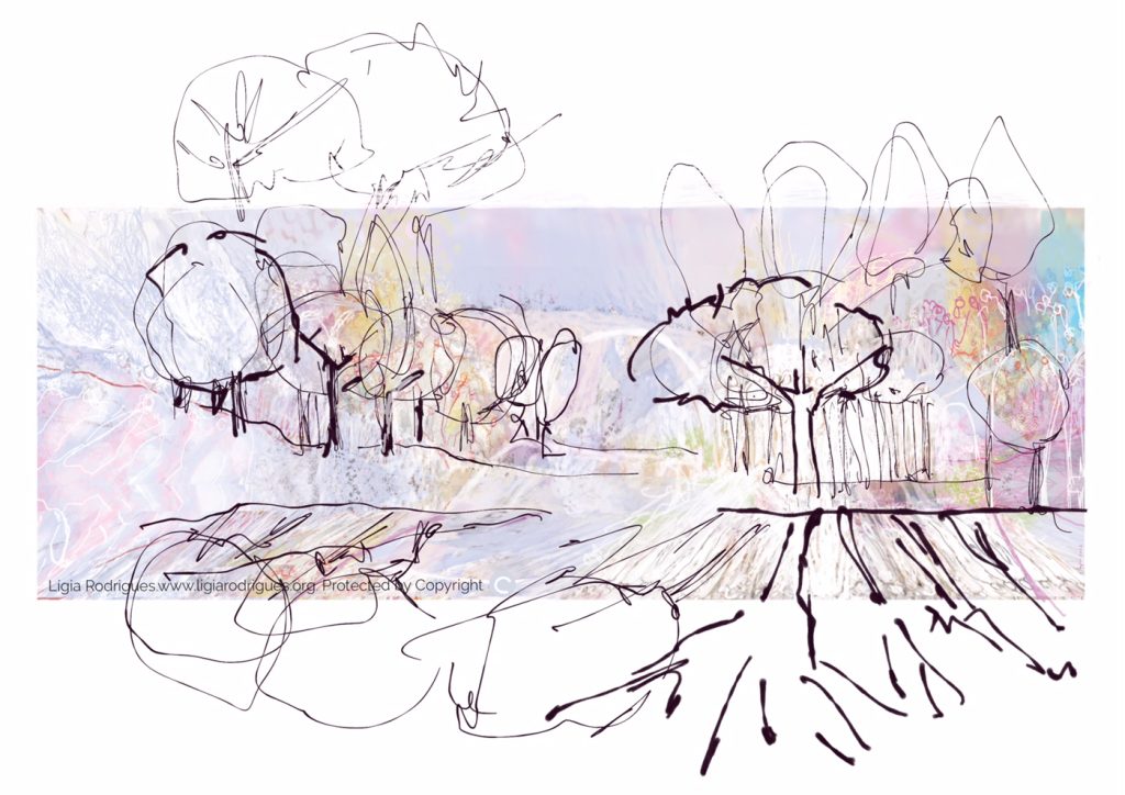 [12] «E tu?…» | Transpar(ê)nciar