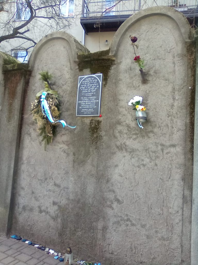 Luís Manuel P. Silva | Os carros, na Polónia, não têm buzina: ecos de uma visita a Cracóvia e Auschwitz