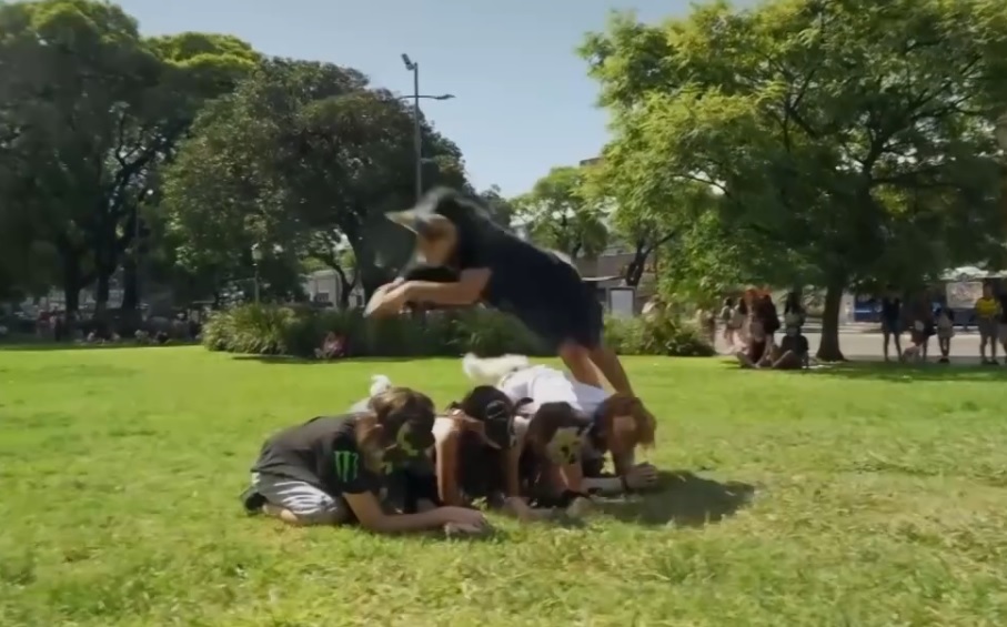 Sinais | 8 | Continuemos a enganar os nossos filhos dizendo que podem ser o que quiserem